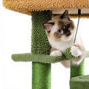 Desert Cactus Cat Tree Ladder Multi Levels Condo - Supfirm