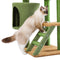 Desert Cactus Cat Tree Ladder Multi Levels Condo - Supfirm