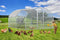 Large Metal Chicken Coop Upgrade Tri-Supporting Wire Mesh Chicken Run,Chicken Pen with Water-Resident & Anti-UV Cover,Duck Rabbit House Outdoor (10'W x 13'L x 6.5'H) - Supfirm