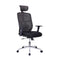 Techni Mobili High Back Executive Mesh Office Chair with Arms, Lumbar Support and Chrome Base, Black - Supfirm