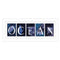 Supfirm "Ocean" By Robin-Lee Vieira, Printed Wall Art, Ready To Hang Framed Poster, White Frame - Supfirm