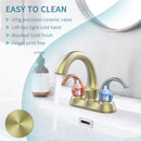 Supfirm Bathroom Faucet 2-Handle Brushed Gold with Aerator, Swan Style 4-inch Centerset Vanity Sink with Pop-Up Drain and Supply Hoses, FR4075-BG