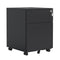 Supfirm 2 Drawer Mobile File Cabinet with Lock Steel File Cabinet for Legal/Letter/A4/F4 Size, Fully Assembled Include Wheels, Home/ Office Design, Black