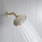 Supfirm 6 In. 6-Spray Balancing Shower Head Shower Faucet