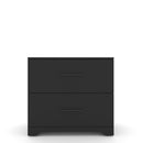 Supfirm 2 -Drawer Lateral Filing Cabinet,Storage Filing Cabinet for Home Office, Black