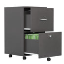 Supfirm File cabinet with two drawers with lock,Hanging File Folders A4 or Letter Size, Small Rolling File Cabinet Printer Stand office storage cabinet Office pulley movable file cabinet Dark Gray