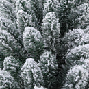 Supfirm 7 Feet Prelit Snow Flocked Pencil Christmas Tree Decoration 150 LED UL Plug Warm Lights 570 Branch Artificial Slim Xmas Tree Indoor Outdoor Home Decor Holiday - Supfirm