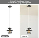 DGY Vintage Farmhouse Pendant Light Rustic Metal Caged Pendant Lights Black Cage Hanging Lamp for Kitchen Island Entryway Bedrooms Living Room Barn,Adjustable Height E26 Bulb（1 Light） - Supfirm