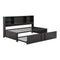 Metal Twin Size Daybed with Twin Size Trundle, Storage Shelves and USB Ports, Black - Supfirm