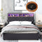 Queen Size Upholstered Platform Bed with Storage Headboard, LED, USB Charging and 2 Drawers, Dark Gray - Supfirm