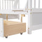Twin-Over-Full Bunk Bed with Ladders and Two Storage Drawers (White){old sku:LT000165AAK} - Supfirm
