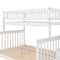 Twin over Full Stairway Bunk Bed with storage, White - Supfirm