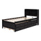 Twin Size Bed with built-in USB ,Type-C Ports, LED light, Bookcase Headboard, Trundle and 3 Storage Drawers, Twin Size Bed with Bookcase Headboard, Trundle and Storage drawers ,Espresso - Supfirm