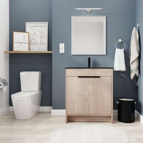 Supfirm 30 Inch Freestanding Bathroom Vanity with Black Ceramic Sink & 2 Soft-Close Cabinet Doors (BVB02430PLO-BL9075BK),W1286S00019 - Supfirm