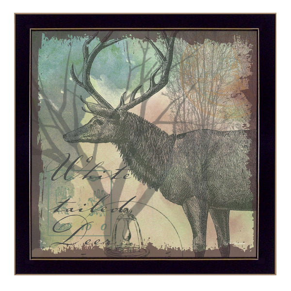 Supfirm "Deer" By Barb Tourtillotte, Printed Wall Art, Ready To Hang Framed Poster, Black Frame - Supfirm