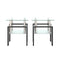 Supfirm Set of 2, Modern Tempered Glass Tea Table Coffee Table End Table, Square Table for Living Room, Transparent/Black - Supfirm